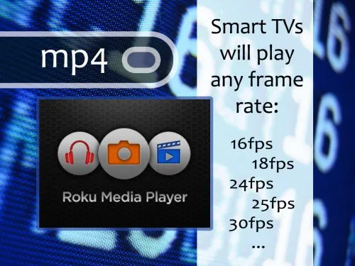 true frame rate file play back